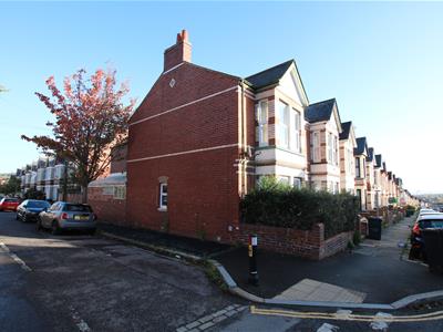 Picture 20